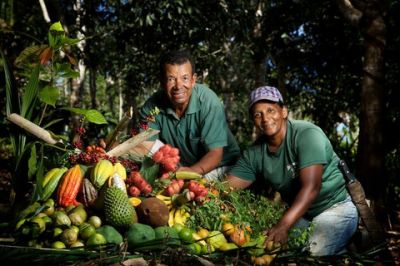 Safra 2011/2012: garantia de preços mínimos, juros menores e mais segurança aos agricultores familiares