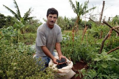 MDA e Embrapa distribuem 2.700 toneladas de sementes para agricultores do Semi-Árido
