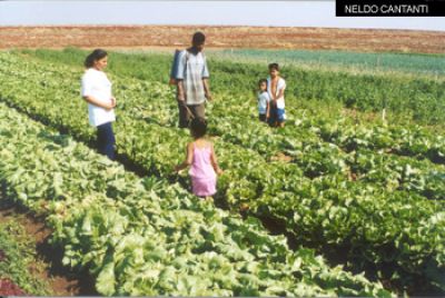 Lançamento de programa da agricultura familiar
