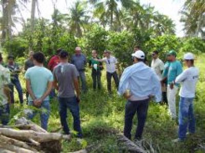 REPARTE organiza curso sobre técnicas da agricultura orgânica e os aspectos da Agroecologia
