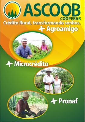 Cooperativas de Crédito Rural fomentam desenvolvimento sustentável no estado da Bahia