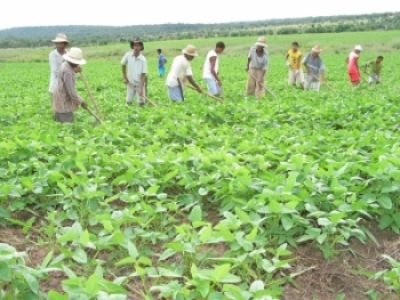 BNB renegocia dívida de 582 mil produtores