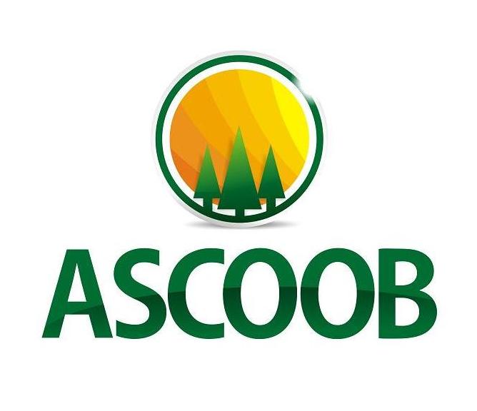 VIA 7 fará campanha publicitária da ASCOOB