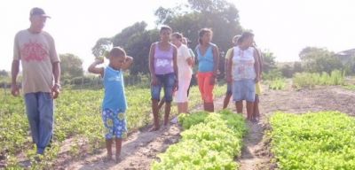 Revista Agriculturas publica artigo sobre a experiência da ASCOOB na Bahia