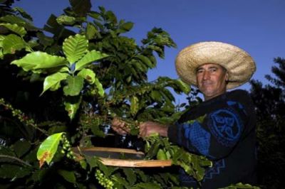 Medidas facilitarão acesso de agricultores familiares e cooperativas ao Pronaf