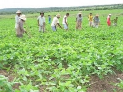 Programa Garantia Safra cadastra agricultores familiares para a safra 2009 2010