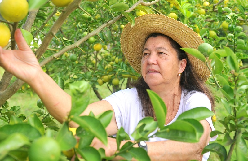 Pré-lançamento de “No Quintal de Rosalina” acontece no dia de 23 de abril