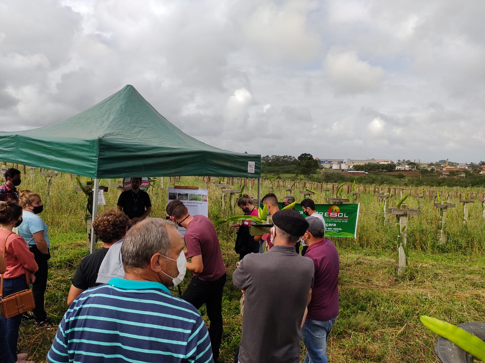 Dia de Campo sobre cultura da pitaia é realizado em Içara