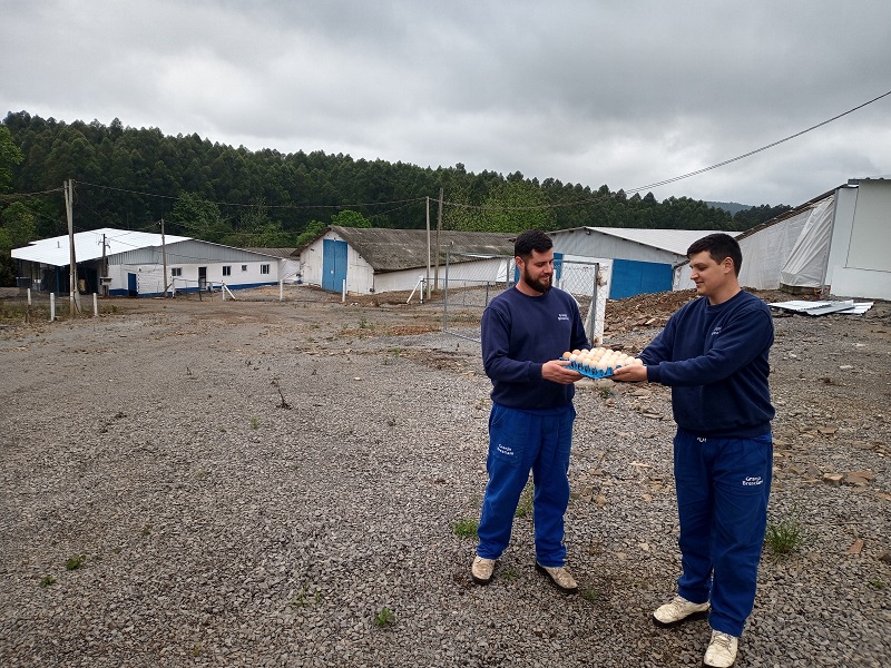 Granja Bresciani: Cresol incentiva produção de ovos em Anta Gorda