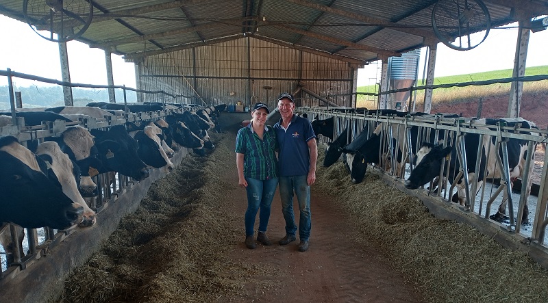 Amor pelos animais motiva família na produção leiteira