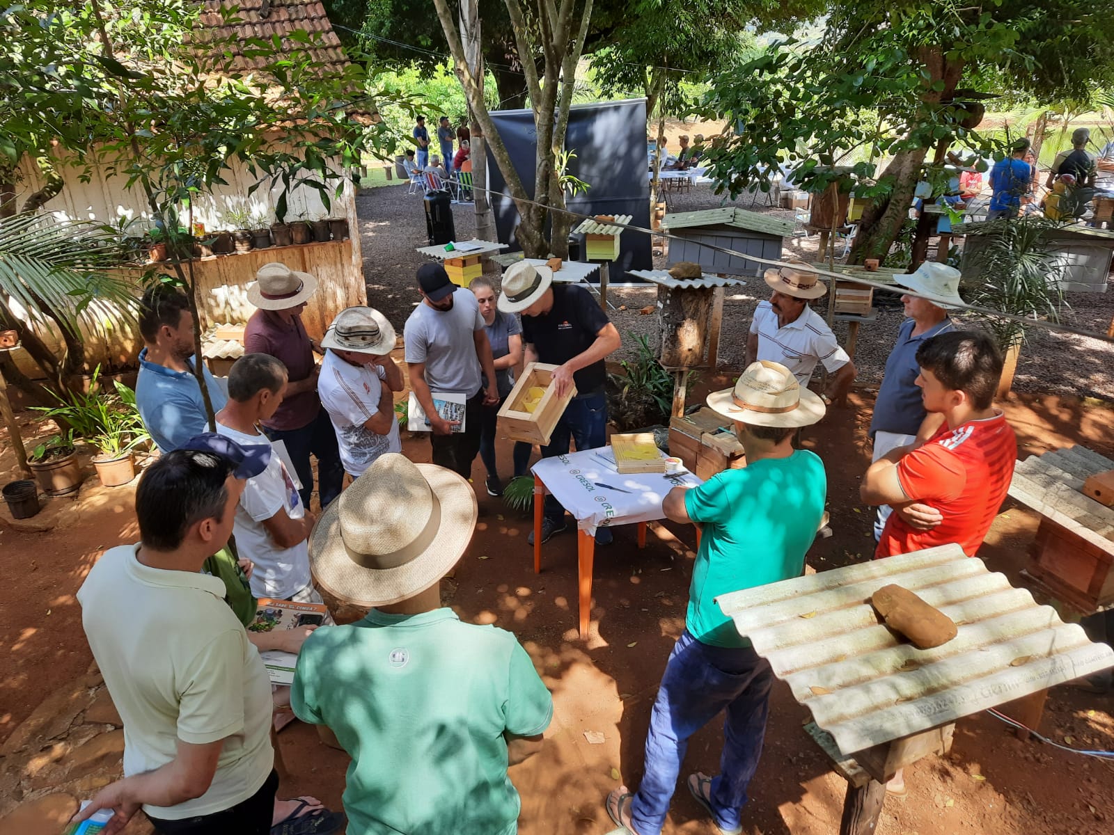 Cresol apoia Seminário Microregional de Abelhas Sem Ferrão realizado em Aratiba