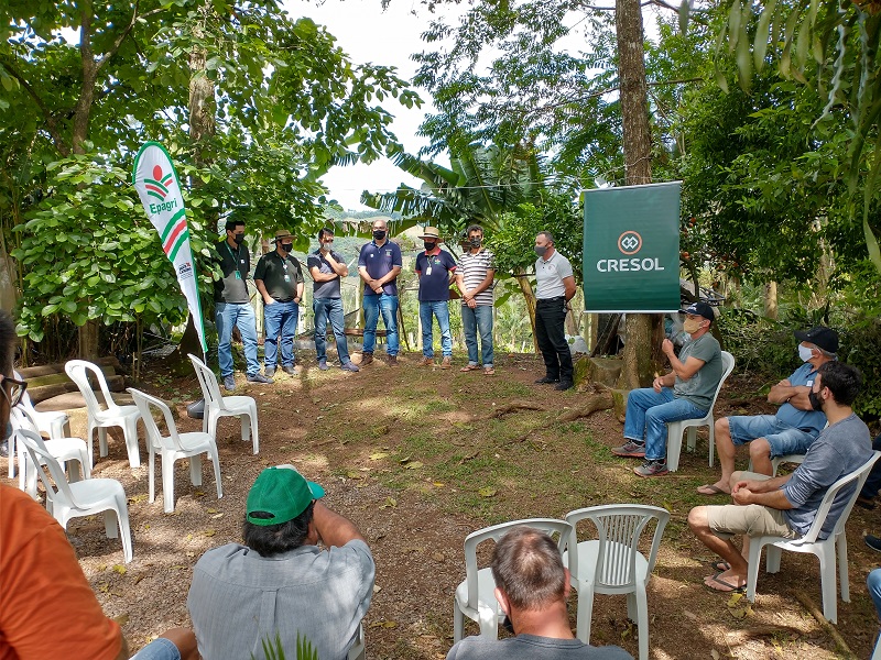 Cooperativas da Base Sul oferecem apoio técnico a agricultores agroecológicos e incentivo à transição