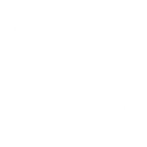 Icone 03 - Marca