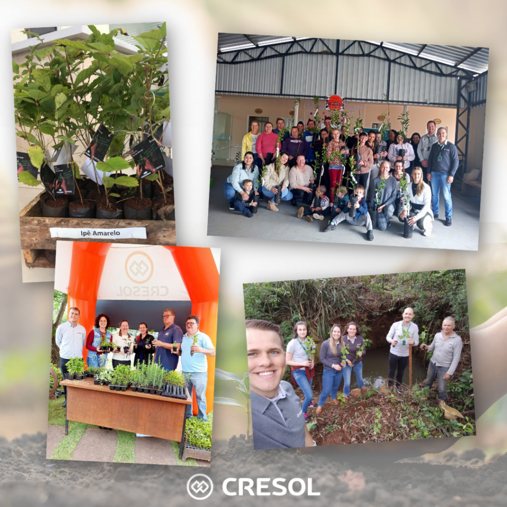 1 - Cresol Aliança participa de ações do dia da árvore