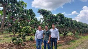 20230106 111531 - Fazenda Nicolini: produção de uva e manga conta com apoio da Cresol