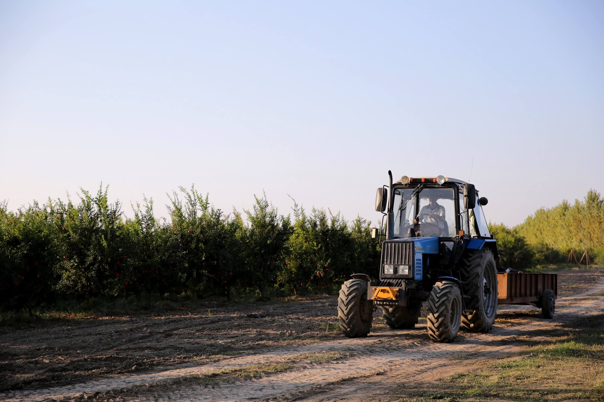 maquina agricola seguro maquinas equipamentos cresol - Seguros para Você