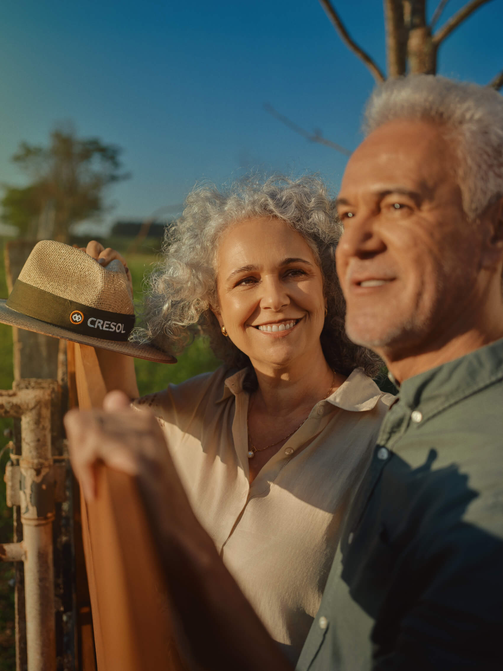 solidez investimentos - Investimentos para você