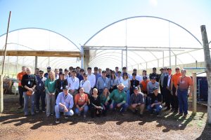 Projeto OCB hortalicas - Cresol recebe etapa do Projeto Conhecer para Cooperar
