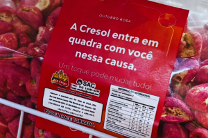 Design sem nome 50 - Ginásio do Atlântico é palco de gols e conscientização em noite de LNF Cresol em Erechim (RS) Design sem nome 50 - Ginásio do Atlântico é palco de gols e conscientização em noite de LNF Cresol em Erechim (RS)