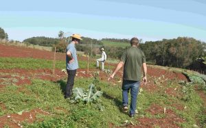 Cresol projeto FORI - COP30: Cresol mostra ações do cooperativismo para um futuro sustentável