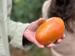 Visita Gawa Cresol Integracao 1 - Cresol fortalece agricultores com Projeto Empreendedorismo Rural