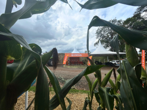 2 13 - Cresol Aliança fortalece presença no agro durante a Ceditec Auriverde 2025