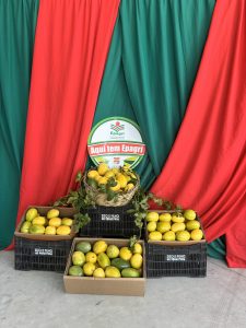 IMG 8883 1 - Cresol Cooperacred fortalece apoio ao agronegócio em São João do Sul/SC IMG 8883 1 - Cresol Cooperacred fortalece apoio ao agronegócio em São João do Sul/SC