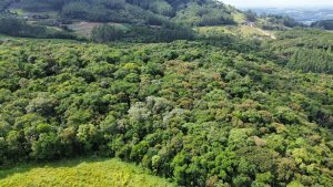 Imagem 3 - Cresol Litoral apoia a elaboração de plano de manejo da Reserva dos Bugres Imagem 3 - Cresol Litoral apoia a elaboração de plano de manejo da Reserva dos Bugres