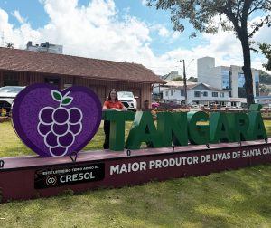 ok 2 - Conectar para aproximar: série de vídeos quer valorizar cidades e cooperados da Cresol Ativa