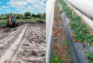00 Huerta Franco Uruguay - Cresol desenvolve projeto de alimentos agroecológicos entre Brasil e Uruguai
