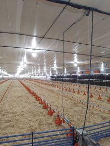 WhatsApp Image 2026 03 24 at 12.43.06 - Novo aviário em Aratiba amplia produção de aves com apoio da Cresol