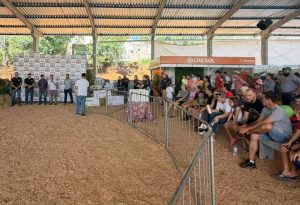 WhatsApp Image 2026 03 28 at 14.33.21 - Cresol fortalece relacionamento na Expo Arabutã 2026