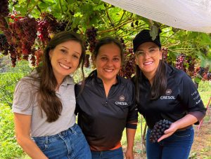 ok2 1 - Empreendedorismo, cooperação e realização pessoal: agricultora diversifica atividades na propriedade e investe no turismo rural ok2 1 - Empreendedorismo, cooperação e realização pessoal: agricultora diversifica atividades na propriedade e investe no turismo rural