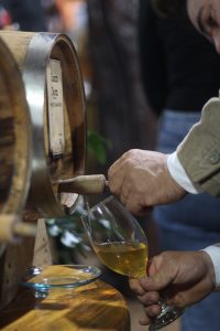 Dia do Vinho evento que celebra a tradicao vitivinicola do Meio Oeste catarinense - Setor da vitivinícola movimenta Tangará (SC) no sábado, dia 06
