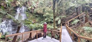 turismo natureza bom retiro sc - Dia Nacional do Turismo: crédito do Fungetur impulsiona negócios e fortalece empreendedores