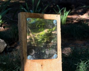Cresol Horizonte realiza recuperacao de fontes em 2026 1 - Cresol Horizonte vai recuperar mais de 80 nascentes em 2026