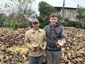 IMG 3465 - Plano Safra: produtor gaúcho usa linha de custeio para cultivo de porongos IMG 3465 - Plano Safra: produtor gaúcho usa linha de custeio para cultivo de porongos