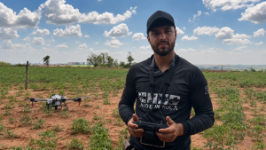Plano Safra impulsiona produção de mandioca e sucessão familiar no Noroeste do Paraná