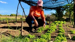 case Tabira 2 - Cooperativismo: força coletiva para um mundo mais sustentável