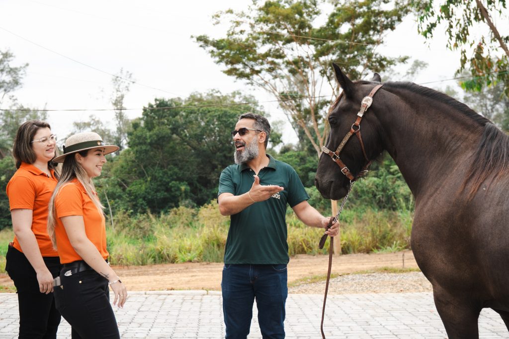 A Cresol disponibiliza linhas de financiamento para a aquisicao de embrioes potros e cavalos - Parceria entre Cresol e Rancho Sete Lagos amplia acesso ao crédito para compra de cavalos