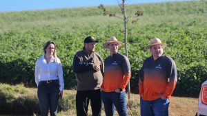 Cresol promove Plano Safra com cooperados - A força do Plano Safra: a experiência de quem planejou e cresceu com a Cresol em Sarandi (RS)