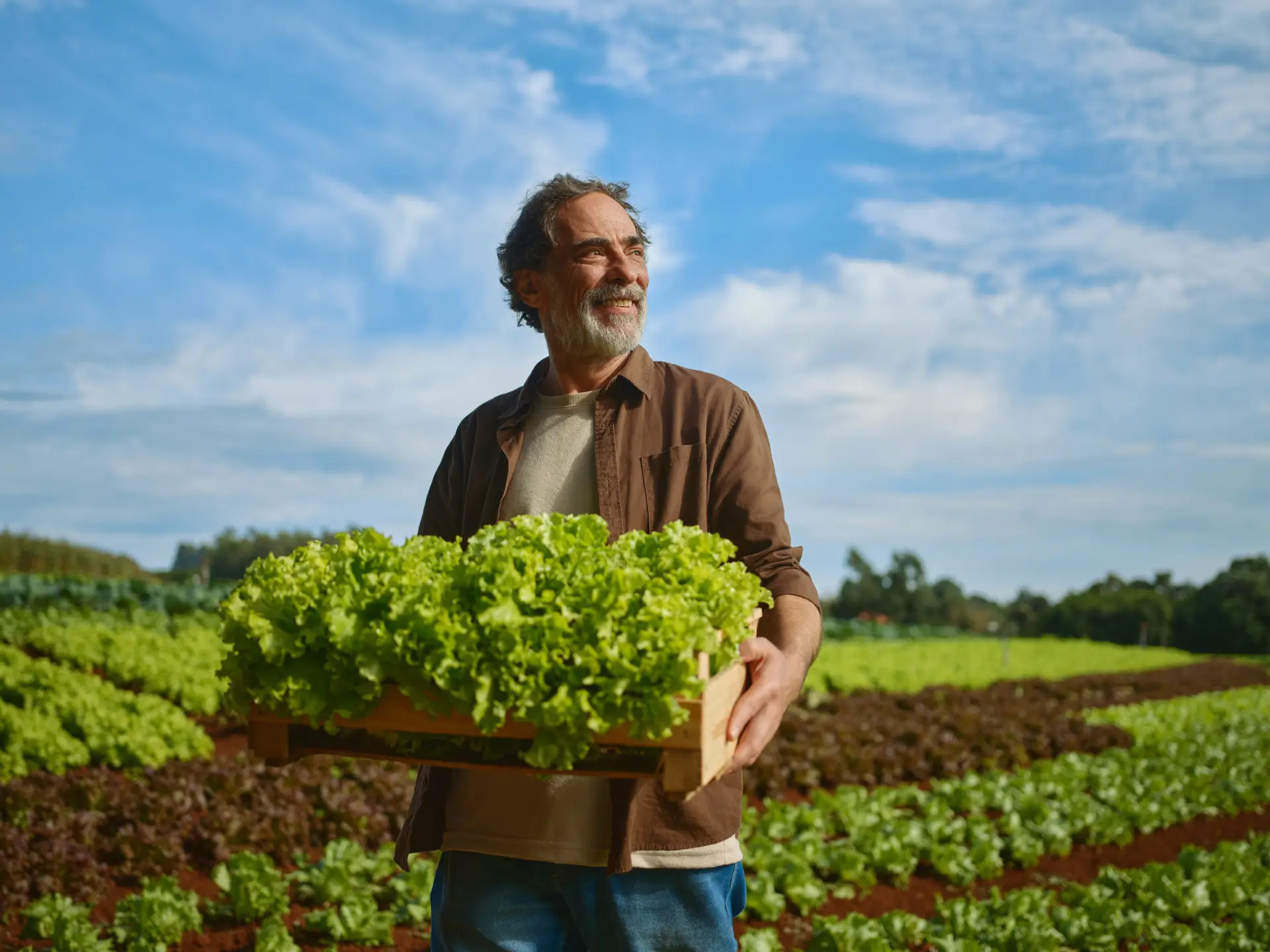 custeio - Cresol para o Agronegócio