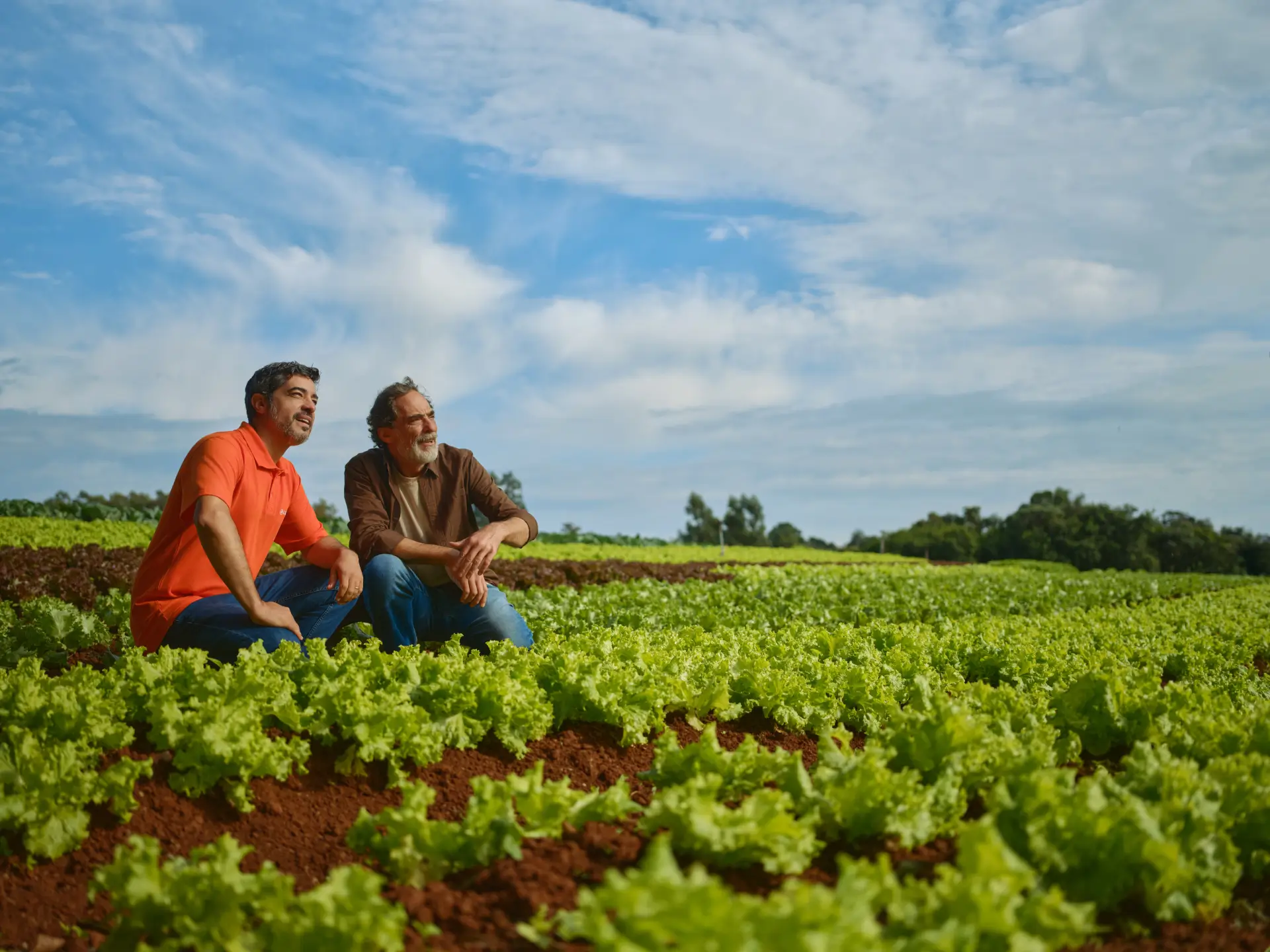 investimentos 1 - Cresol para o Agronegócio