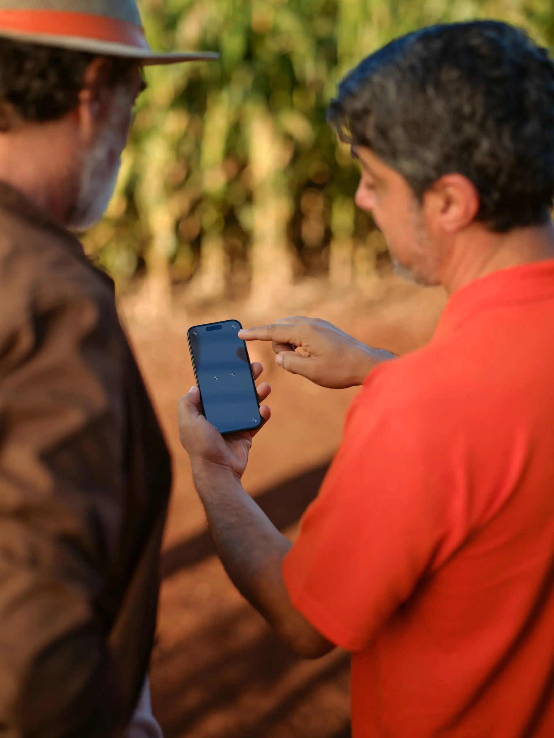seguros 1 - Cresol para o Agronegócio