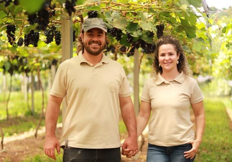 Produtor catarinense aposta na produção sustentável de uvas