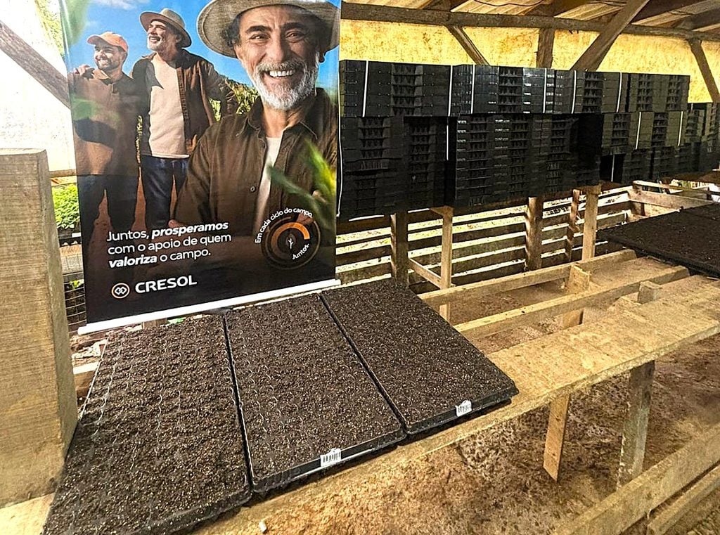 Cresol acredita na força da agricultura familiar