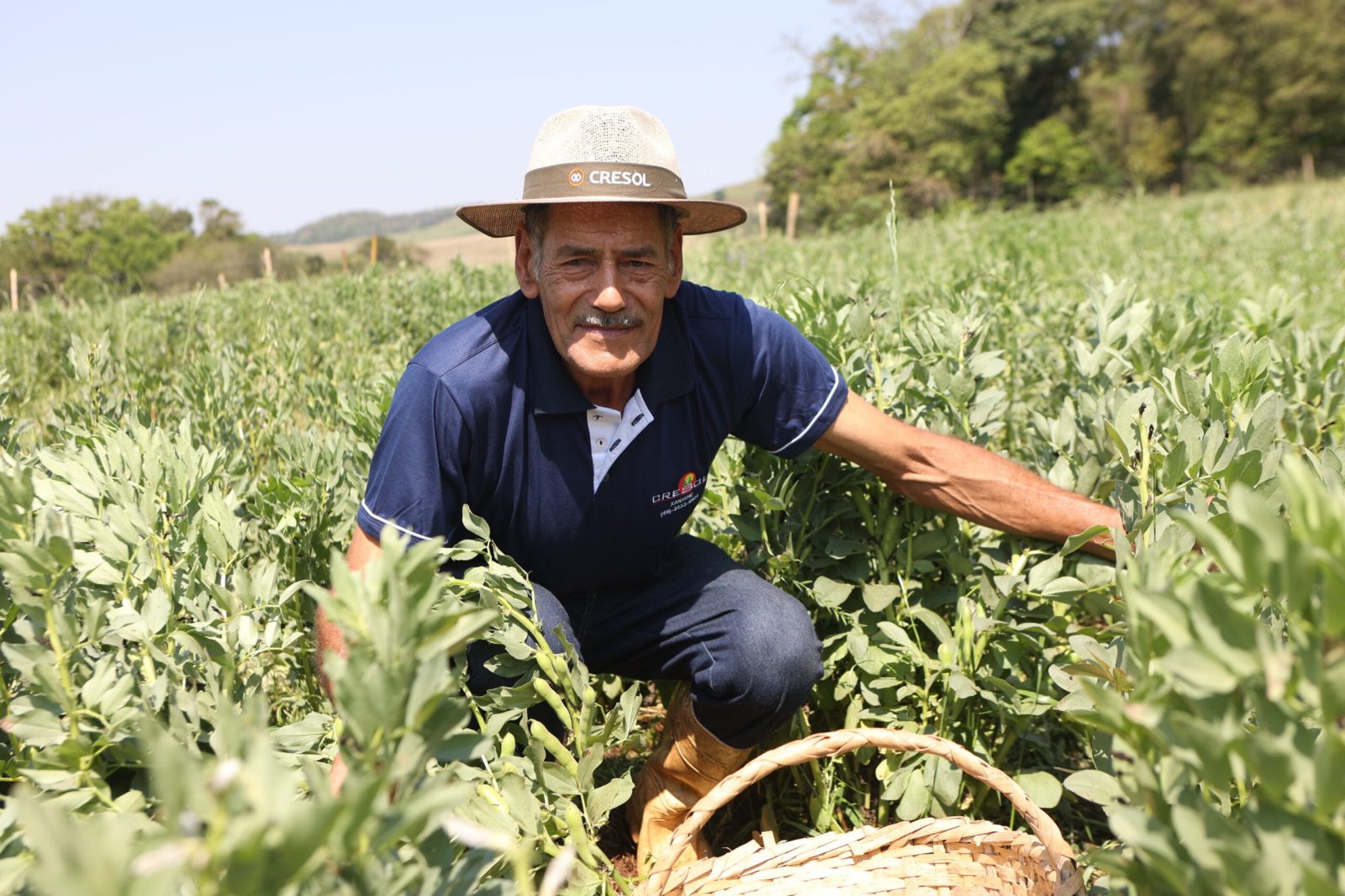 Linhas de créditos sustentáveis impulsionam pequenos agricultores e a preservação ambiental