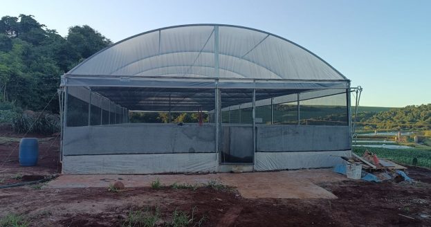 Cooperado Cresol em Nova Aurora