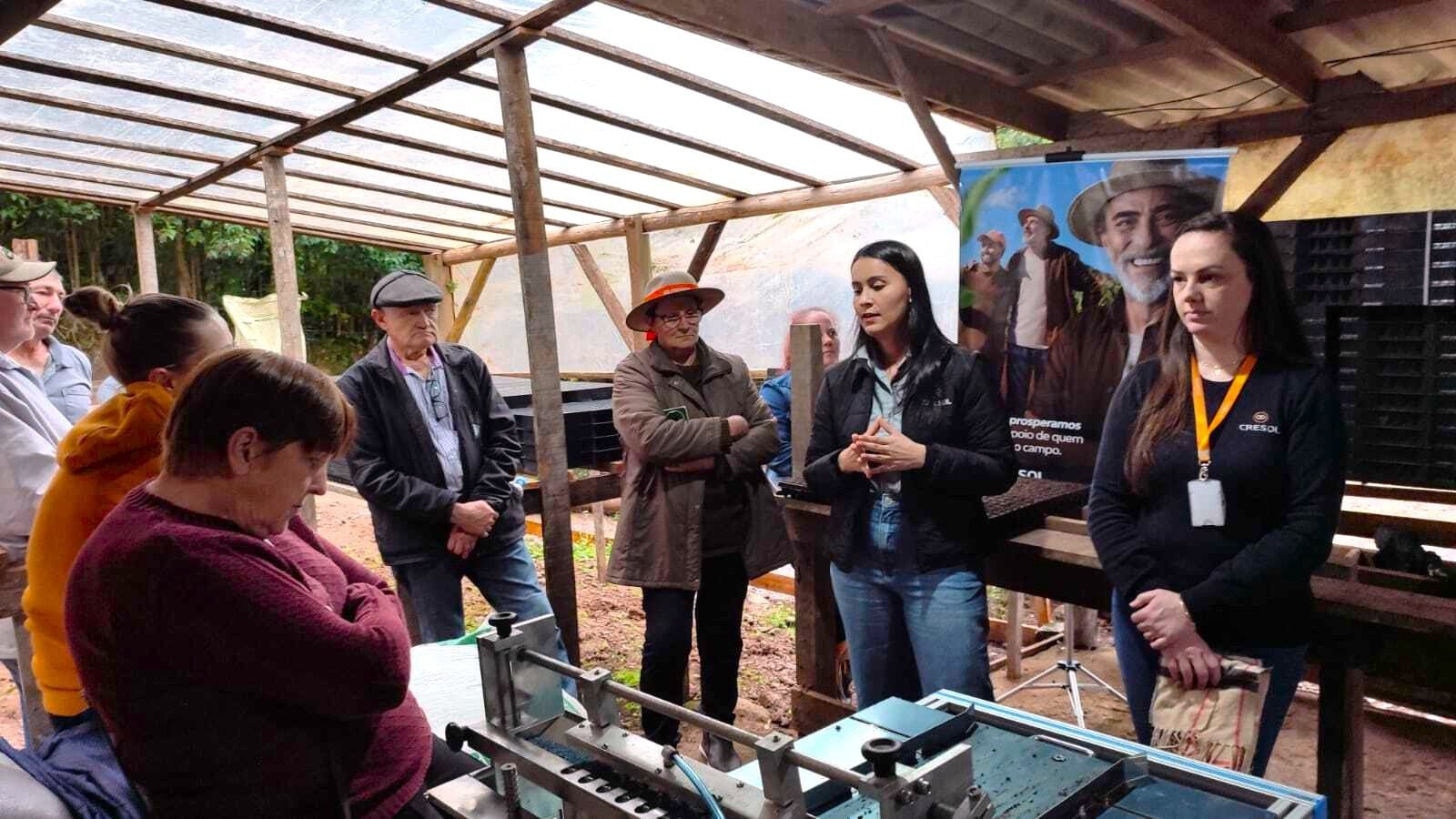 Cresol Essência apoia produção de mudas orgânicas e valoriza a agricultura familiar Cresol Essência apoia produção de mudas orgânicas e valoriza a agricultura familiar
