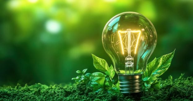 Lâmpada acesa na floresta como conceito de energia renovável